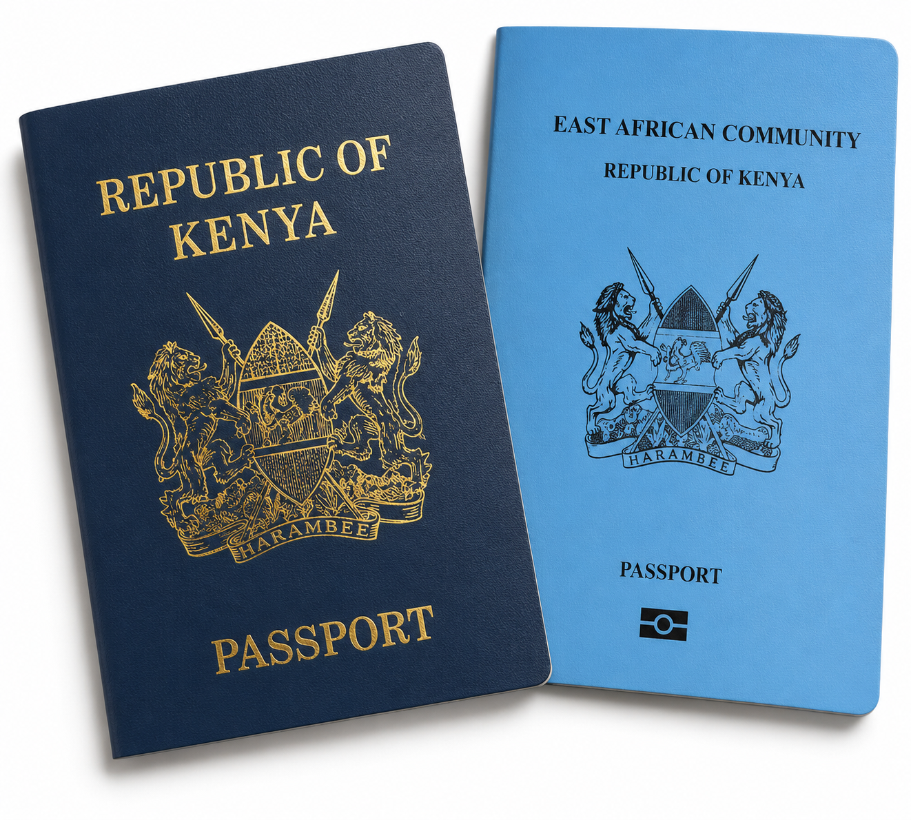 How to Obtain a Temporary Work Permit in Kenya (Special Pass Guide)