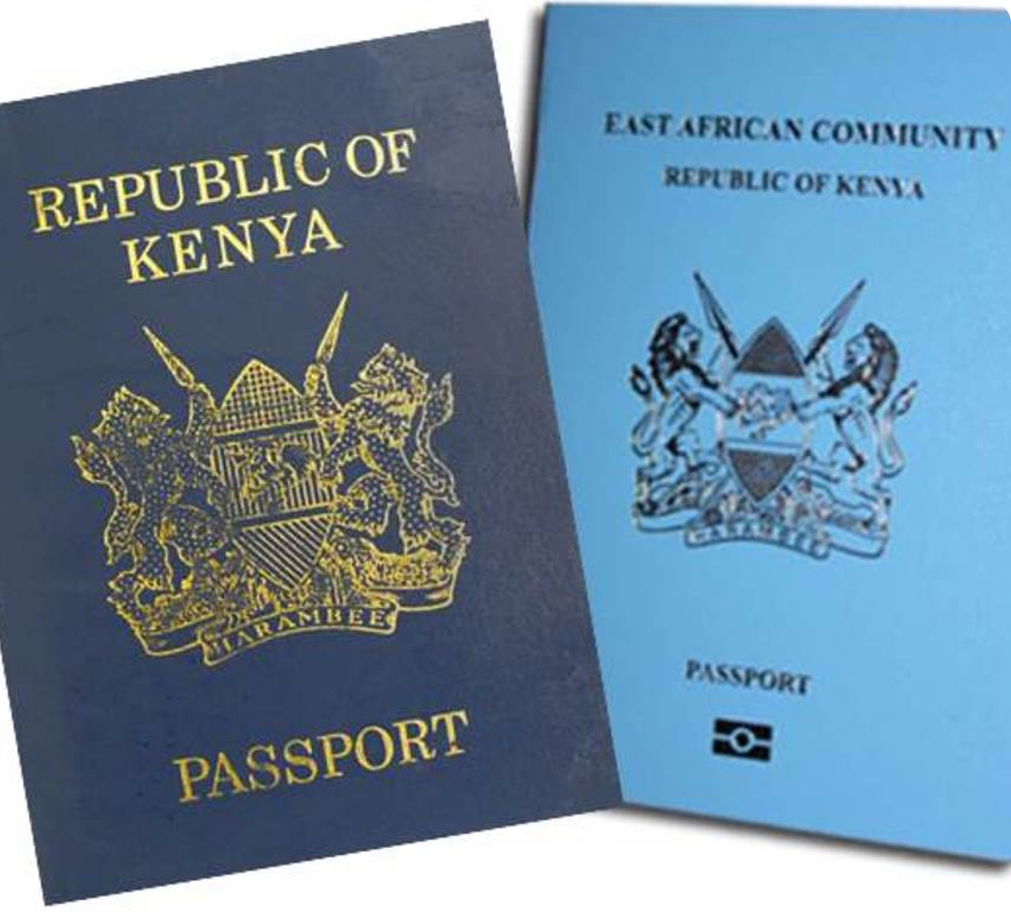 Immigration &amp; Citizenship Services